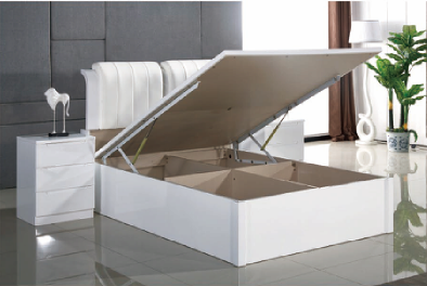 MODEL 001
